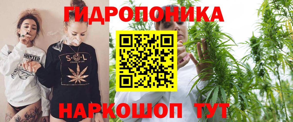Конопля Ganja  Бошки марихуана OG Kush  Каннабис планчик  Вход с VPN  Свободный 